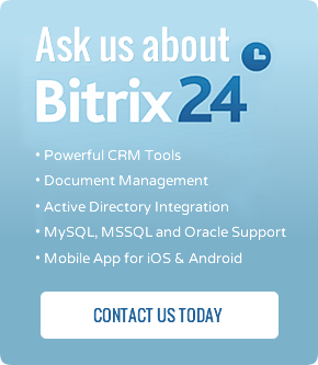 Bitrix24 Intranet Portal Solutions